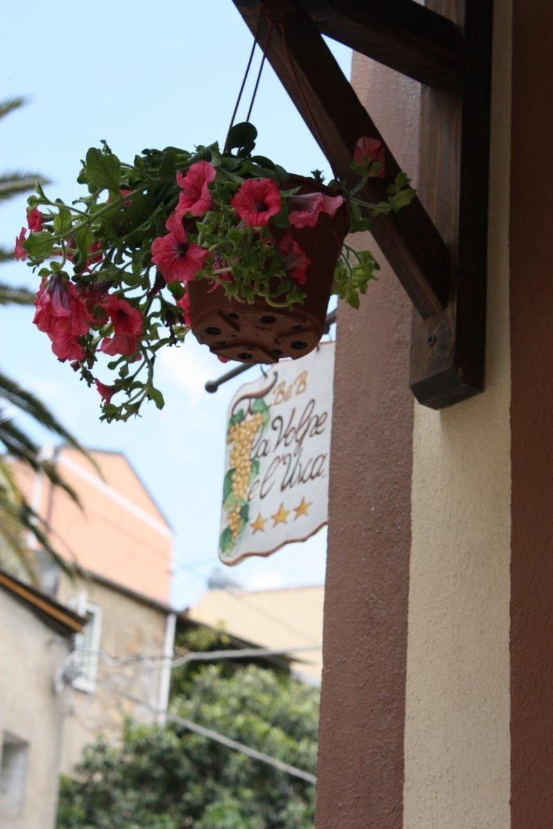 La Volpe E L'Uva B&B Piazza Armerina Exterior foto